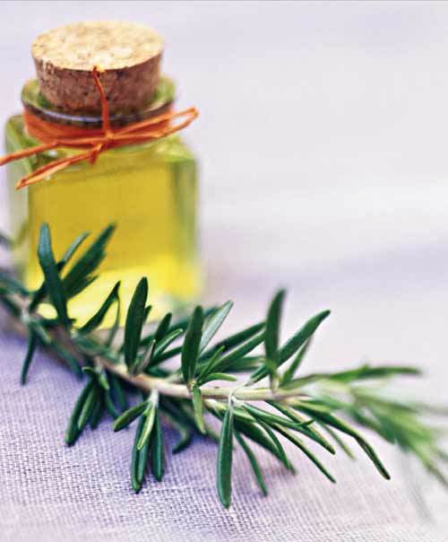 rosemary-oil