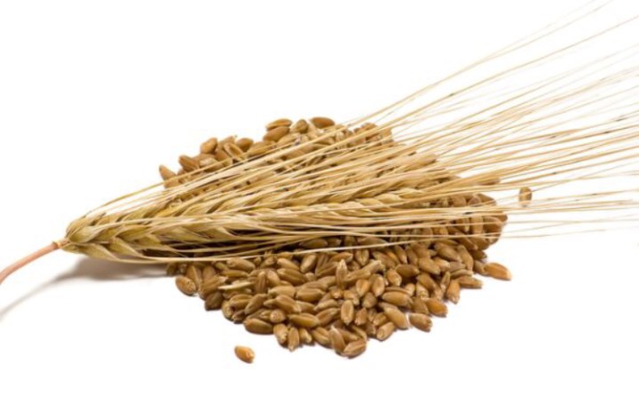 6AF0F011-B621-4442-80EF-FA87FE4651E6