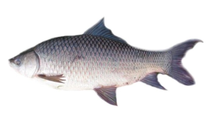 85AB562B-4F55-410D-98B4-388DBF0A9427